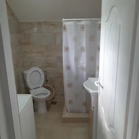 Apartment Vozd